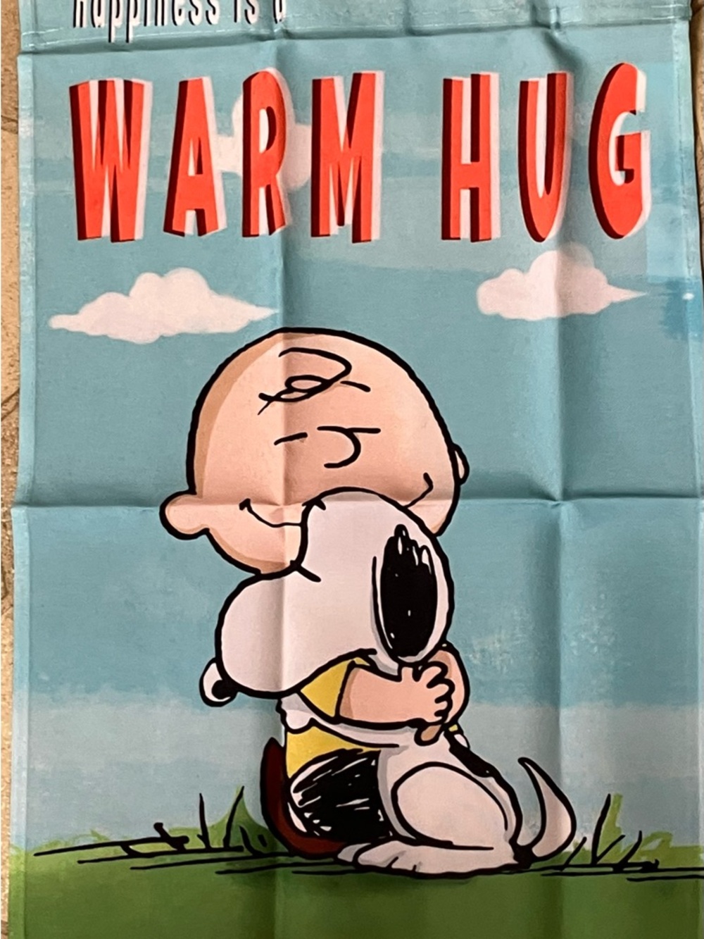 Peanurs Charlie Brown Snoopy garden flag. 12” x 18”.   WARM HUGS!   NIP